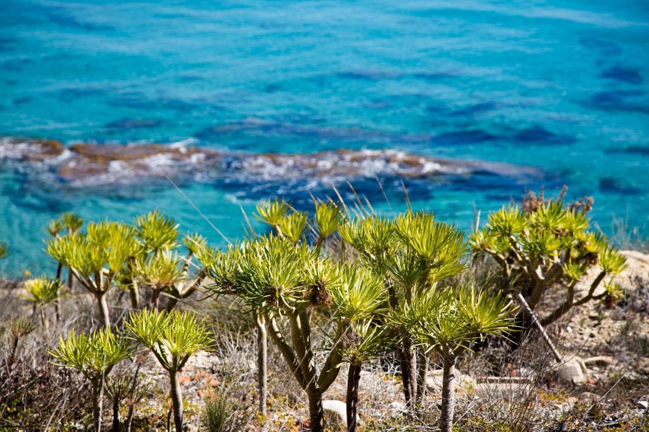 Calanuza Villa El Campello Luaran gambar